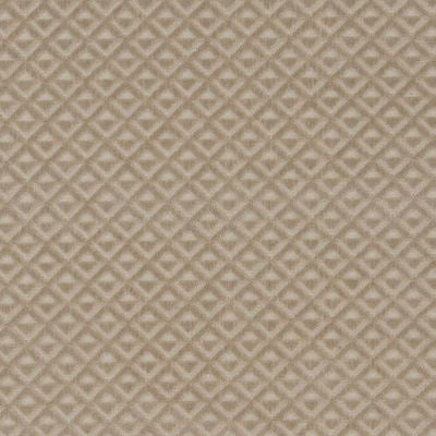 BAILEY & GRIFFIN FABRICS-BV16315 -281-SAND