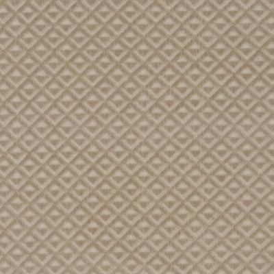 BAILEY & GRIFFIN FABRICS-BV16315 -281-SAND