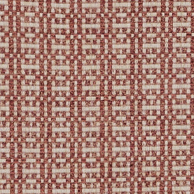 BAILEY & GRIFFIN FABRICS-BU16316 -17-ROSE
