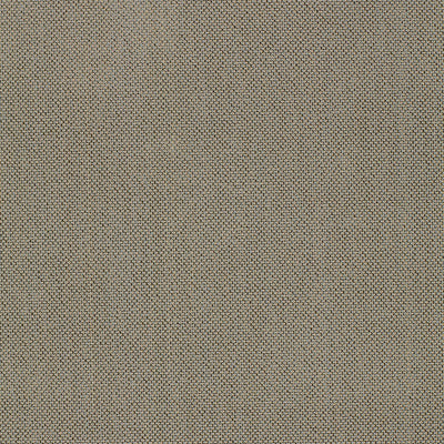SCHUMACHER FABRICS -51432-OLIVIER EPINGLE'