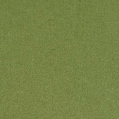 ROBERT ALLEN FABRICS-HALMORE LANE -EDAMAME