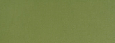ROBERT ALLEN FABRICS-HALMORE LANE -EDAMAME
