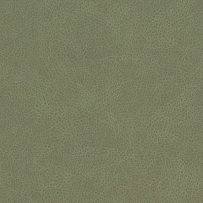 DURALEE FABRICS-DF16285 -343-CACTUS