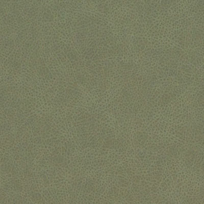 DURALEE FABRICS-DF16285 -343-CACTUS