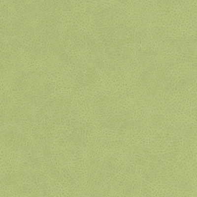 DURALEE FABRICS-DF16285 -546-KEYLIME