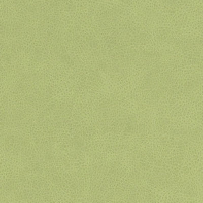 DURALEE FABRICS-DF16285 -546-KEYLIME