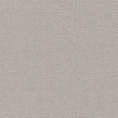 ROBERT ALLEN FABRICS-NOBLETEX RR BK -DRIFTWOOD