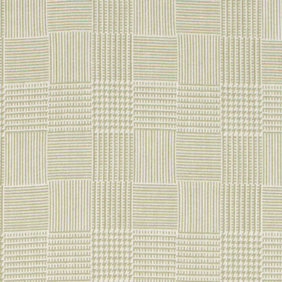 ROBERT ALLEN FABRICS-KELLYNCH HALL -FERN