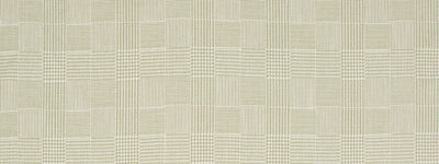 ROBERT ALLEN FABRICS-KELLYNCH HALL -FERN