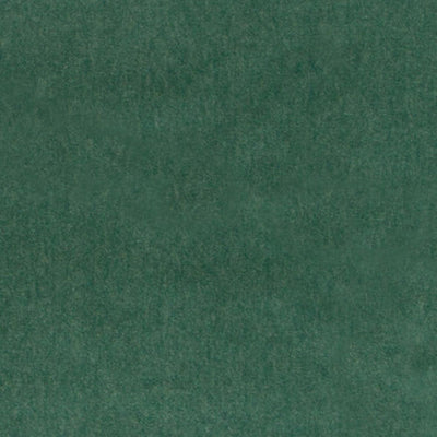 HIGHLAND COURT FABRICS-HV16460 -597-GRASS