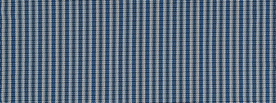 ROBERT ALLEN FABRICS-ZANGARI RR BK -INDIGO