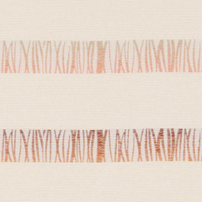 DURALEE FABRICS-DO61921 -136-SPICE