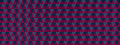 ROBERT ALLEN FABRICS-SEQUENCER -BERRY