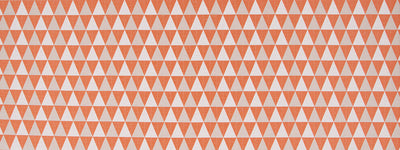 ROBERT ALLEN FABRICS-SEQUENCER -MANDARIN