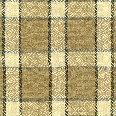 Schumacher Fabrics , a selection of fabrics such as velvet, damask, cotton, silk, linen and sheers.