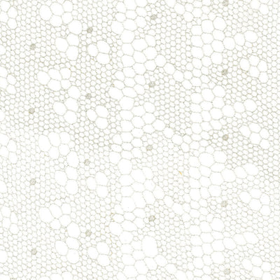 SCHUMACHER FABRICS -55490-TRACERY LACE