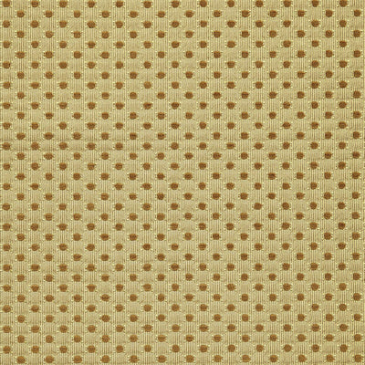 SCHUMACHER FABRICS -60282-MONSERAT CHENILLE