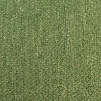 SCHUMACHER FABRICS -60302-VILLIS STRIE'