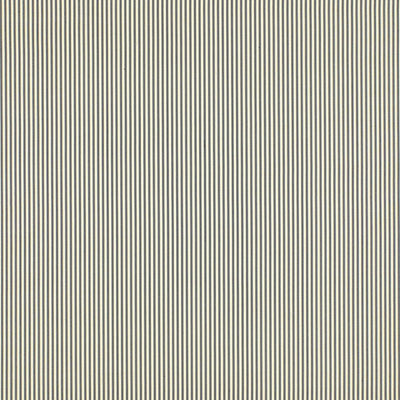 SCHUMACHER FABRICS -60920-CHAREE SILK STRIPE