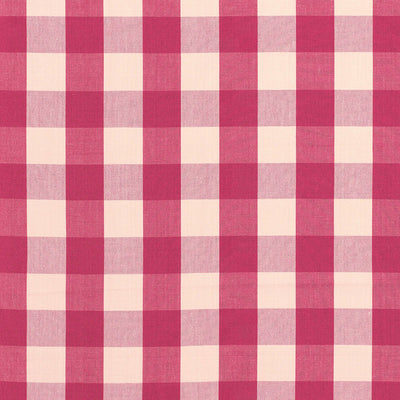 SCHUMACHER FABRICS -63035-CAMDEN COTTON CHECK