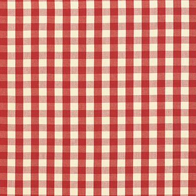 SCHUMACHER FABRICS -63054-ELTON COTTON CHECK