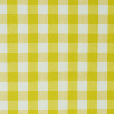 SCHUMACHER FABRICS -63069-ELTON COTTON CHECK