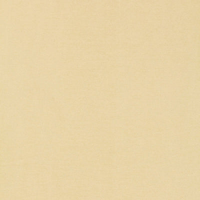 SCHUMACHER FABRICS -63841-TIEPOLO SHANTUNG WEAVE