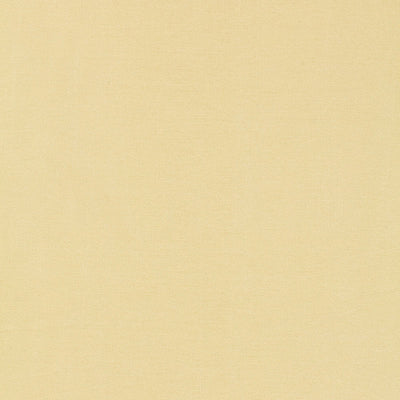 SCHUMACHER FABRICS -63842-TIEPOLO SHANTUNG WEAVE