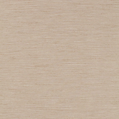 SCHUMACHER FABRICS -63880-POZZO WEAVE