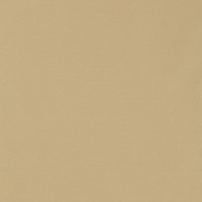 SCHUMACHER FABRICS -63900-MASACCIO TAFFETA
