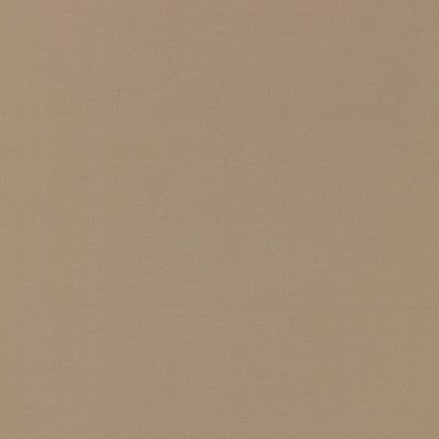 SCHUMACHER FABRICS -63901-MASACCIO TAFFETA