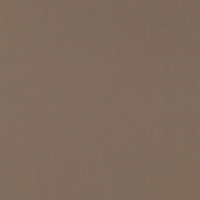 SCHUMACHER FABRICS -63906-MASACCIO TAFFETA