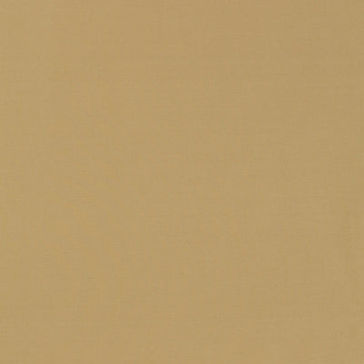 SCHUMACHER FABRICS -63908-MASACCIO TAFFETA