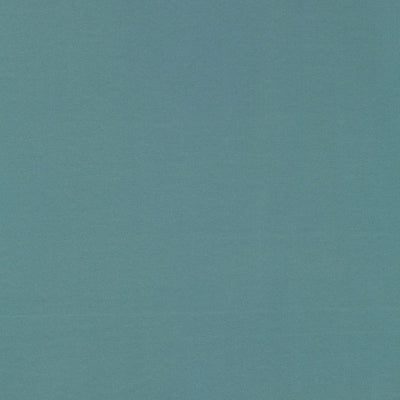 SCHUMACHER FABRICS -63917-MASACCIO TAFFETA