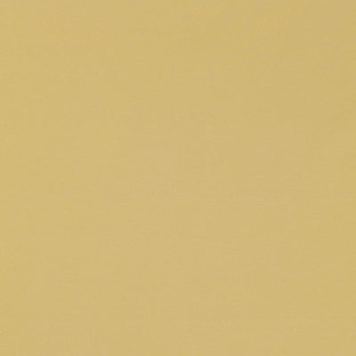 SCHUMACHER FABRICS -63927-MASACCIO TAFFETA