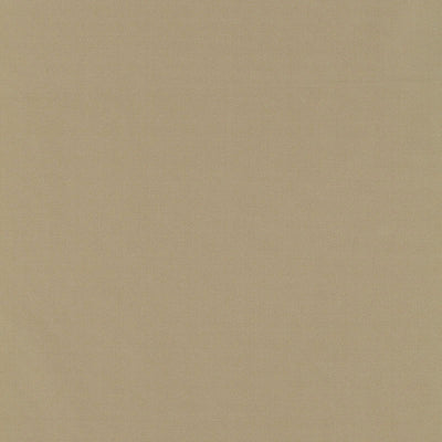 SCHUMACHER FABRICS -63950-GIORDANO TAFFETA