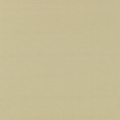 SCHUMACHER FABRICS -63951-GIORDANO TAFFETA
