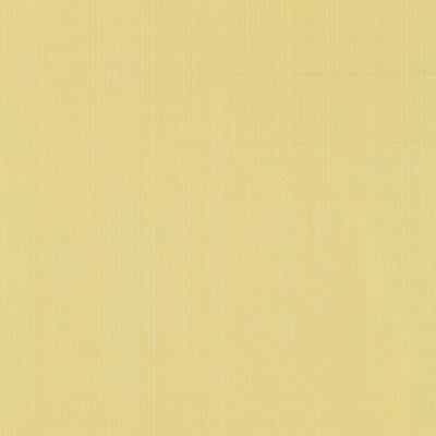 SCHUMACHER FABRICS -63952-GIORDANO TAFFETA