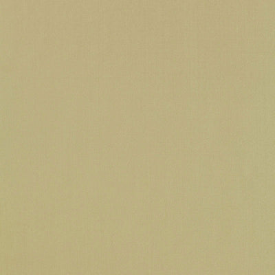 SCHUMACHER FABRICS -63962-GIORDANO TAFFETA