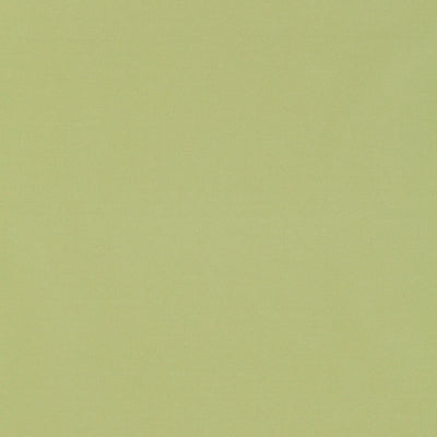SCHUMACHER FABRICS -63971-GIORDANO TAFFETA