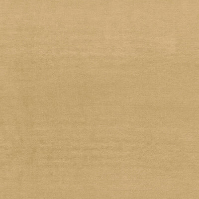 SCHUMACHER FABRICS -64520-GAINSBOROUGH VELVET