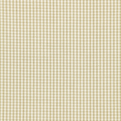 SCHUMACHER FABRICS -64620-BARNET COTTON CHECK