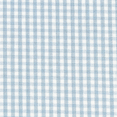 SCHUMACHER FABRICS-64629 - BARNET COTTON CHECK
