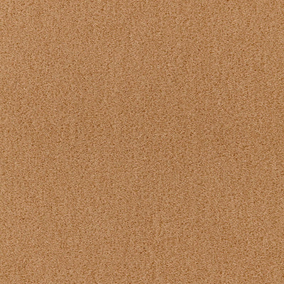 SCHUMACHER FABRICS -64850-SAN CARLO MOHAIR VELVET