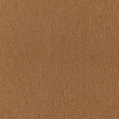 SCHUMACHER FABRICS -64851-SAN CARLO MOHAIR VELVET