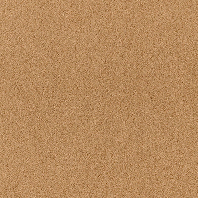 SCHUMACHER FABRICS -64852-SAN CARLO MOHAIR VELVET