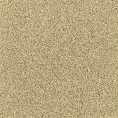 SCHUMACHER FABRICS -64859-SAN CARLO MOHAIR VELVET