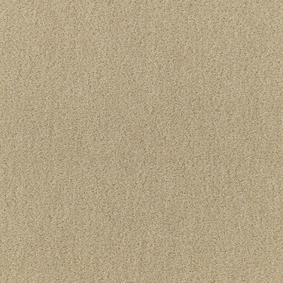 SCHUMACHER FABRICS -64871-SAN CARLO MOHAIR VELVET