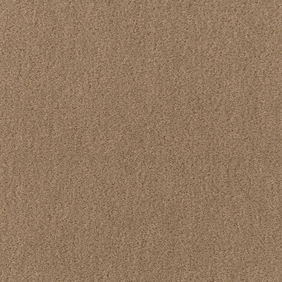 SCHUMACHER FABRICS -64885-SAN CARLO MOHAIR VELVET