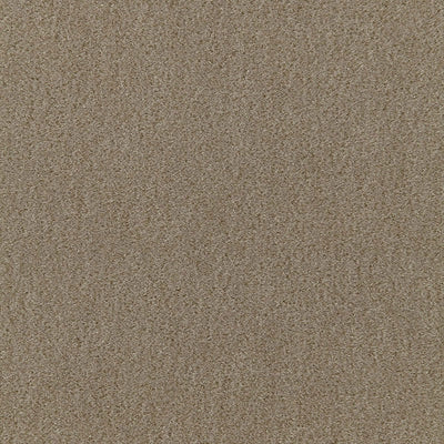SCHUMACHER FABRICS -64886-SAN CARLO MOHAIR VELVET